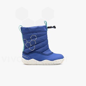Vivobarefoot Lumi X Arctic Angels Batoľatá Obuv Detske Modre | SK018UK