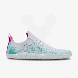 Vivobarefoot Primus Lite Knit Cestne Bezecke Topanky Panske Modre | SK386QC
