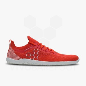 Vivobarefoot Primus Lite Knit Cestne Bezecke Topanky Panske Červené | SK384SZ