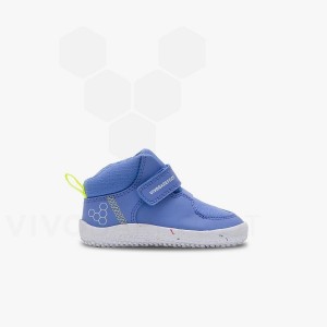 Vivobarefoot Primus Ludo Hi Batoľatá Obuv Detske Modre | SK033FU