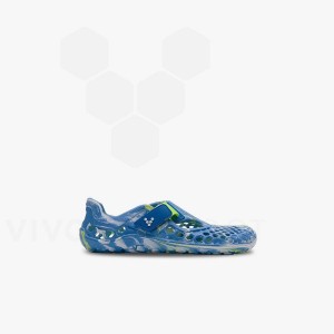 Vivobarefoot Ultra Bloom Preschool Obuv Detske Modre Svetlo Tyrkysové | SK050OB